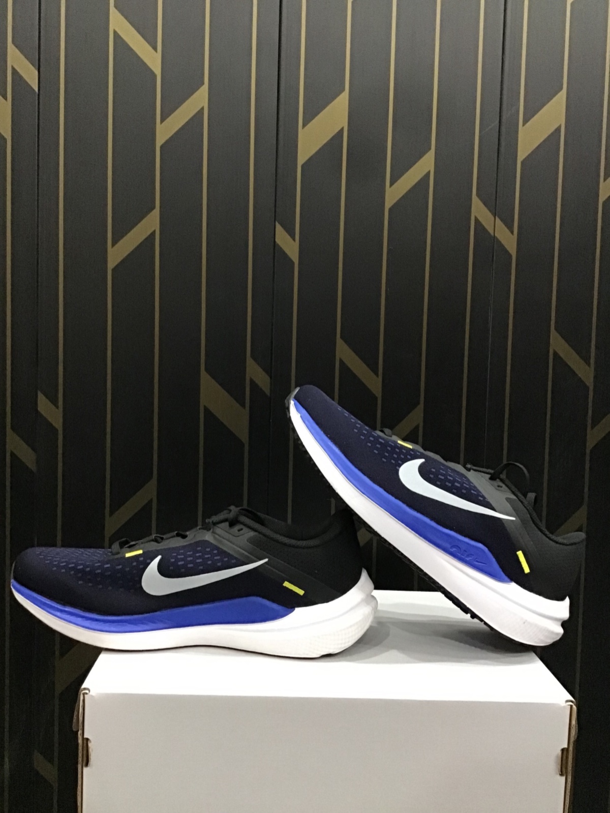 Nike Winflo 10