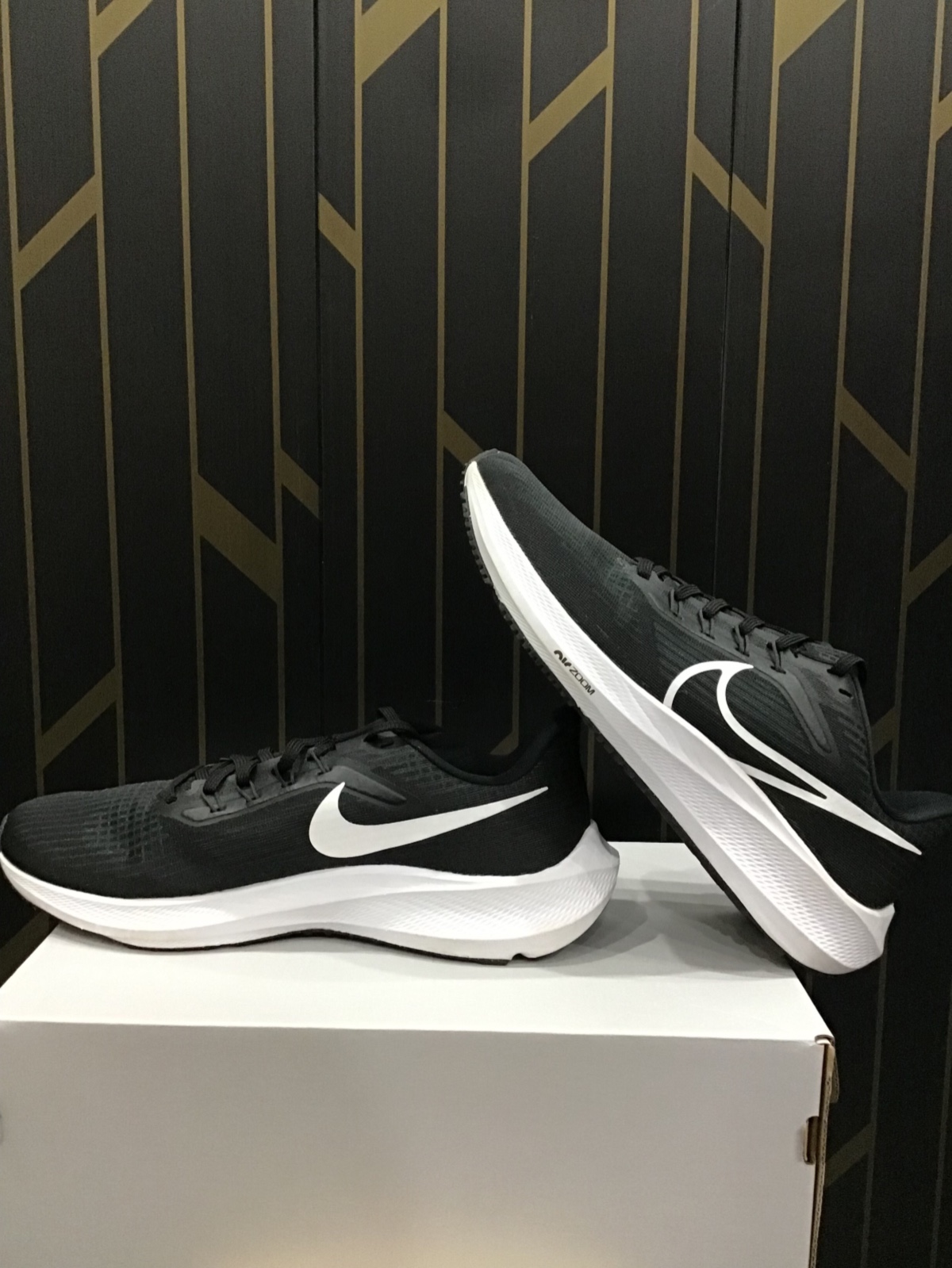 Nike Pegasus Running Shoes