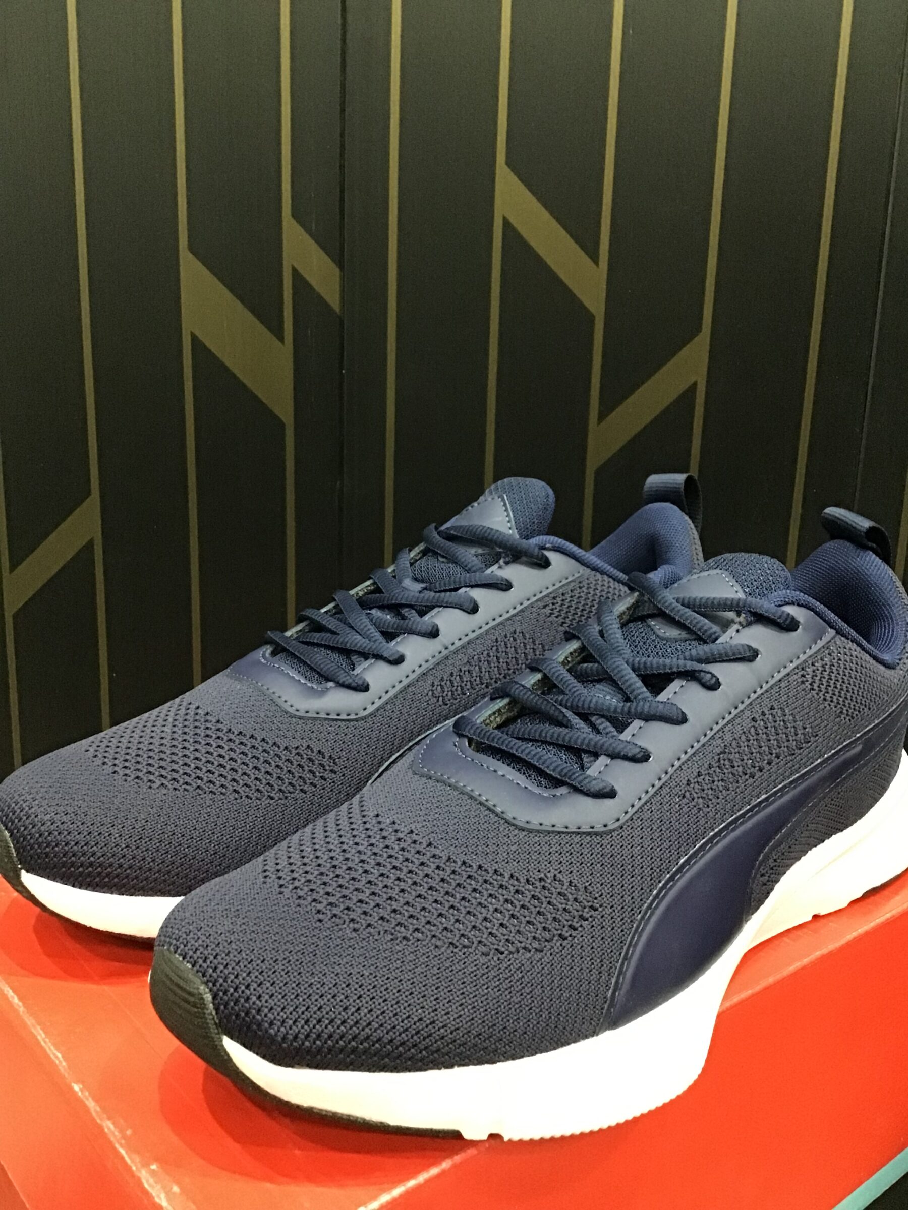 Puma Men Buzzing Running Shoes